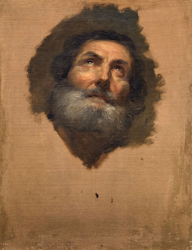 Testa di apostolo - Museo del Prado, Madrid 1